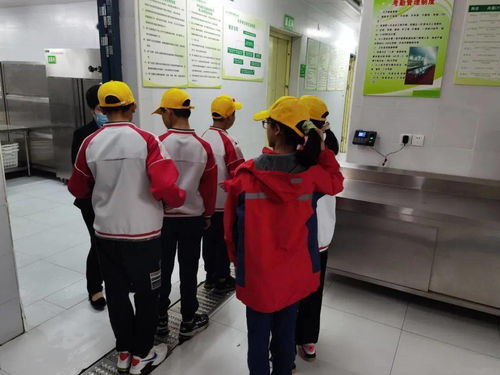校多部門聯合檢查，提升餐飲服務質量